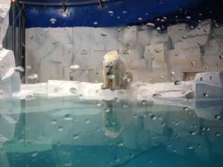 施設写真1161