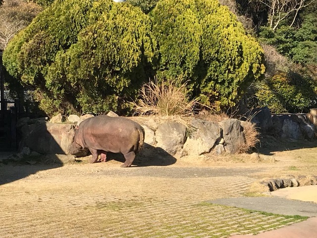施設写真676