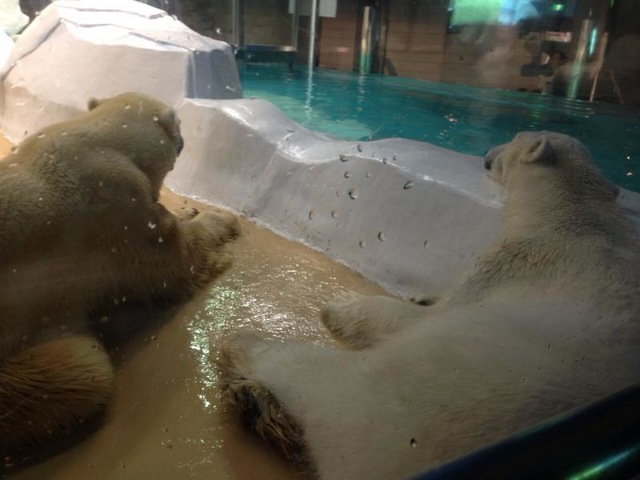 施設写真1104