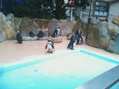 施設写真1143