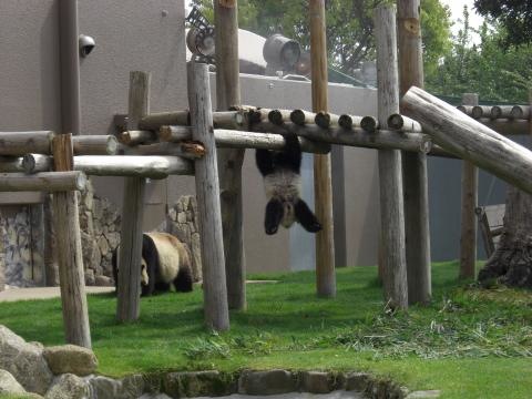 施設写真1186