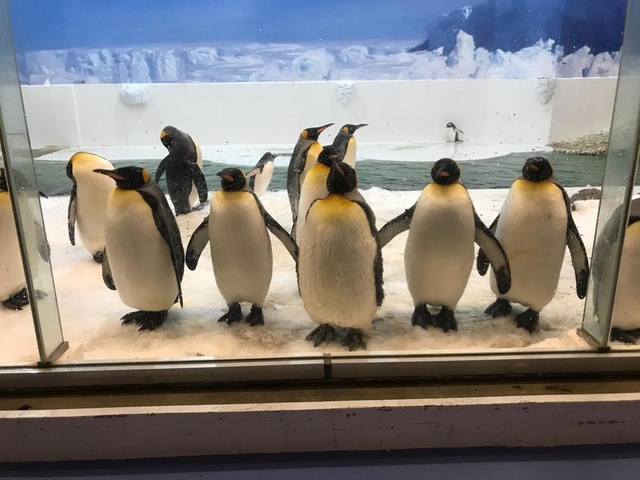 施設写真668