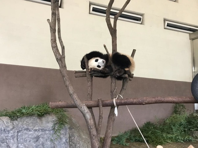 施設写真666