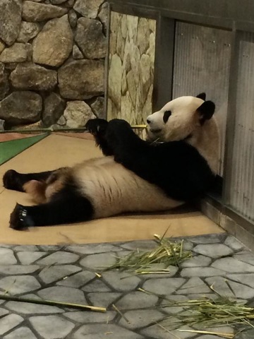 施設写真369