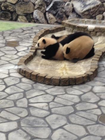 施設写真1176
