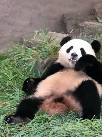 施設写真582