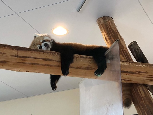 施設写真581