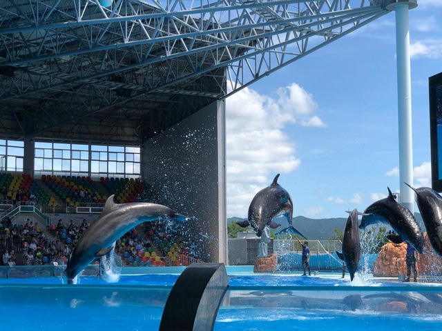 施設写真577