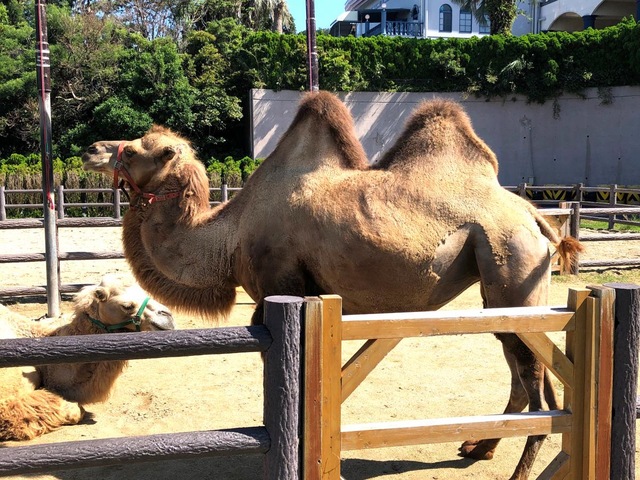施設写真434