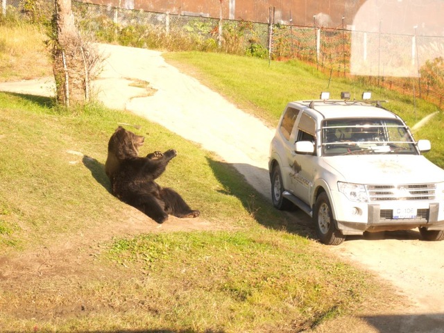 施設写真396
