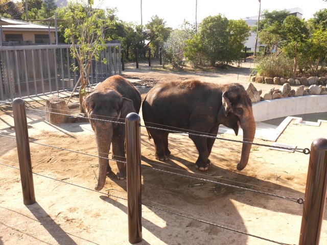 施設写真394