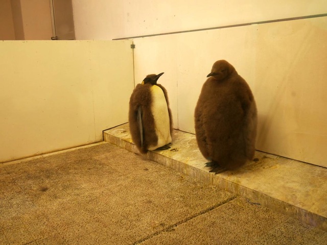 施設写真392