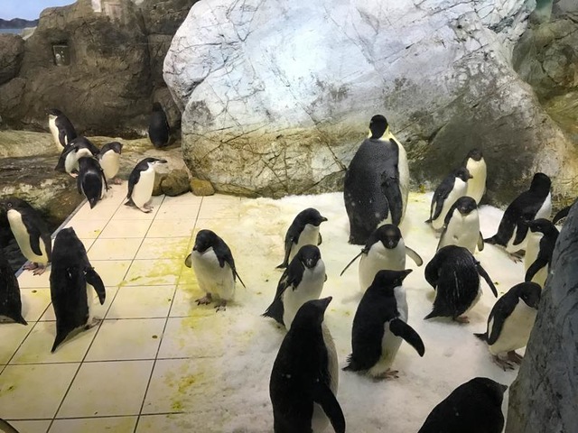 施設写真774