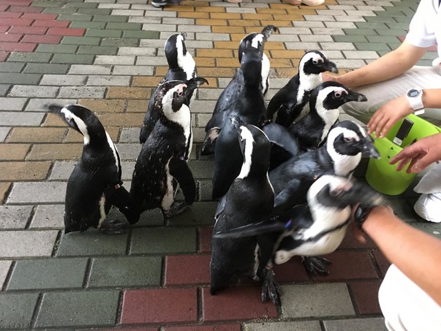 施設写真641