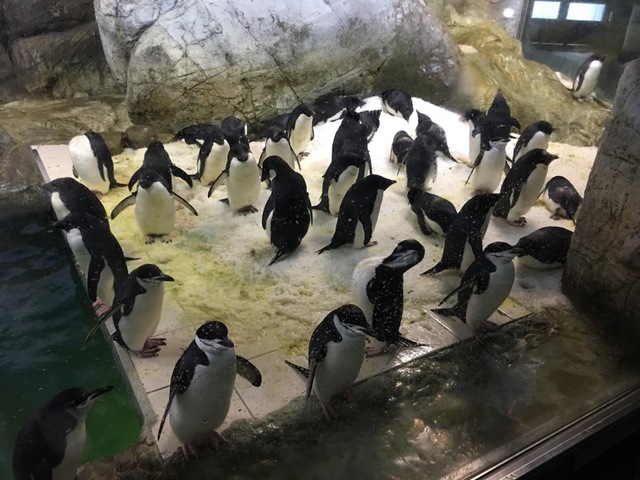 施設写真639