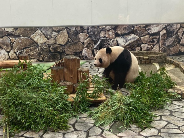 施設写真357