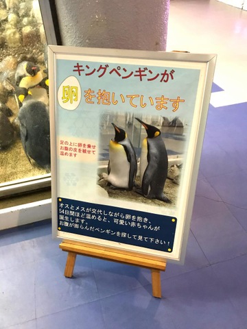施設写真432
