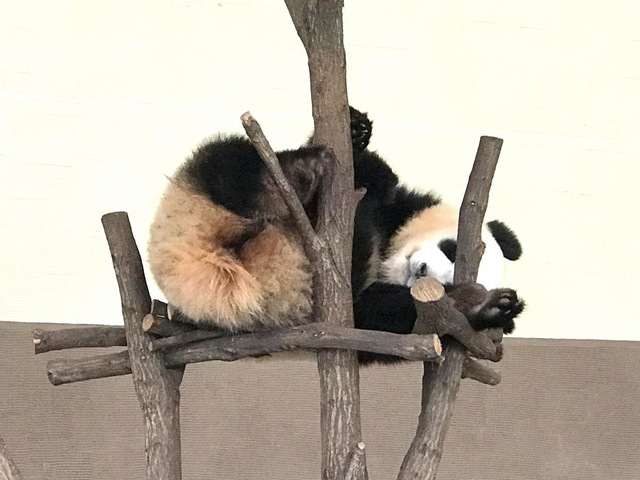 施設写真632