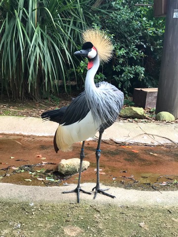 施設写真631