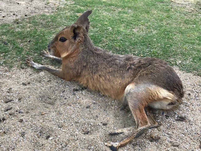施設写真629