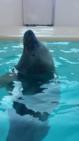 施設写真1083