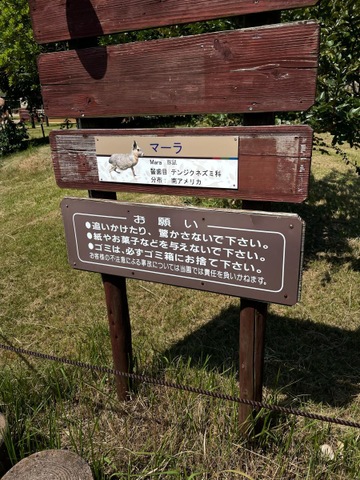 施設写真265