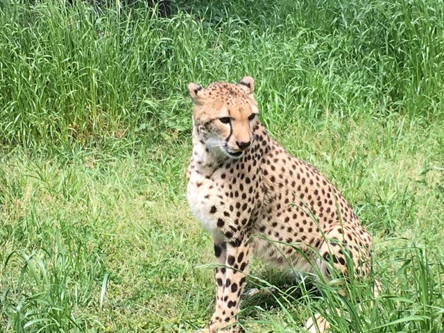 施設写真752