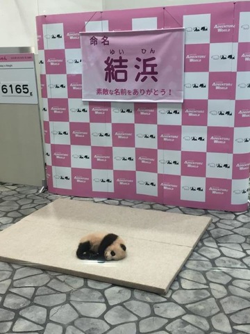 施設写真793