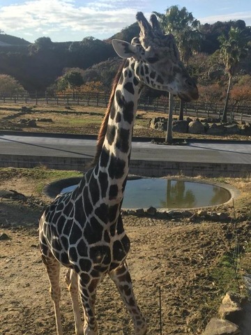 施設写真792