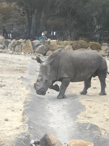 施設写真698