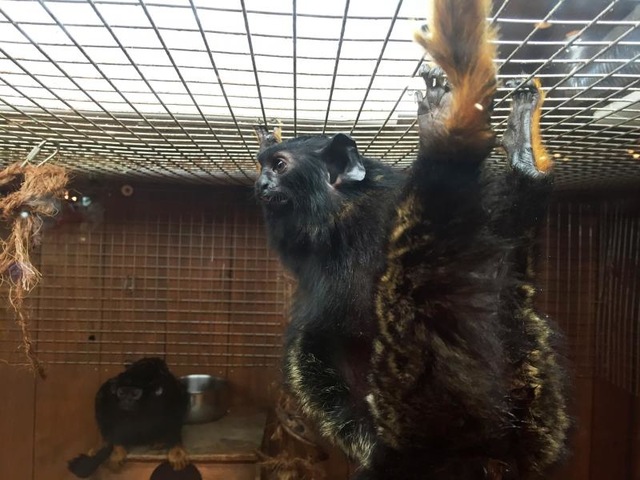 施設写真936