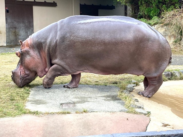 施設写真338