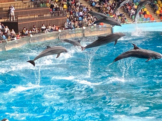 施設写真337