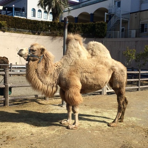 施設写真781