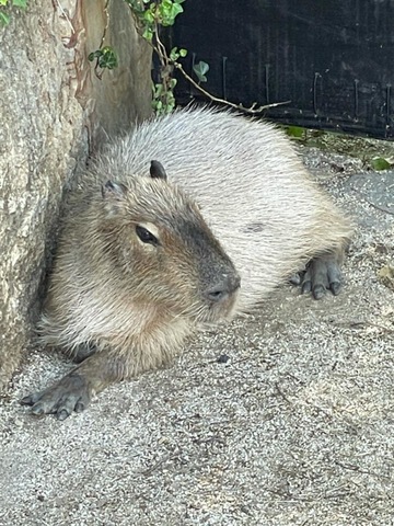 施設写真287