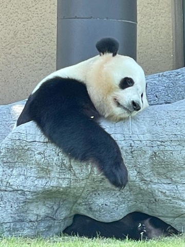 施設写真286