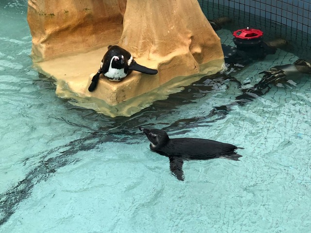 施設写真586