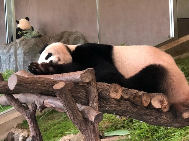 施設写真560