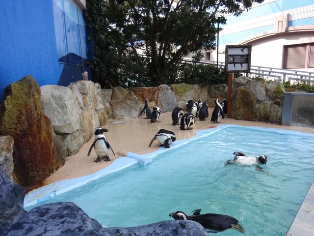 施設写真544
