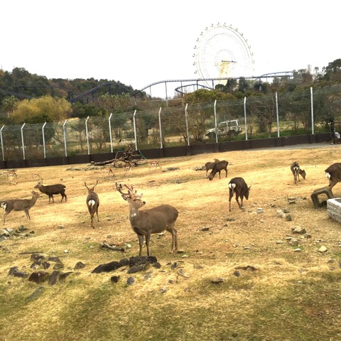 施設写真594