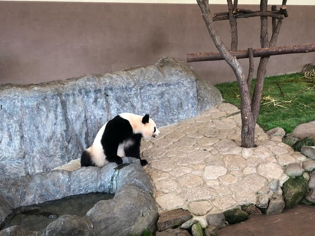 施設写真603
