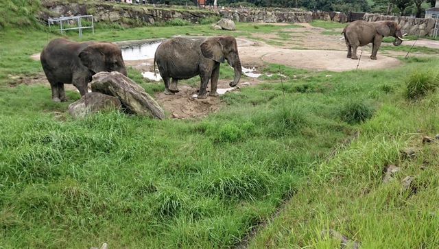 施設写真459