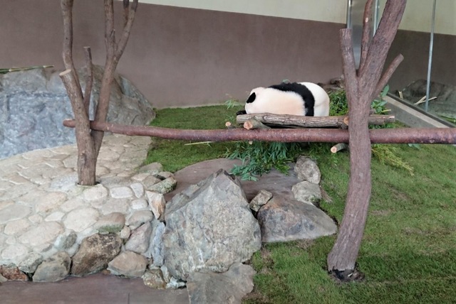 施設写真454