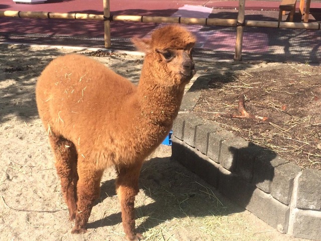 施設写真491