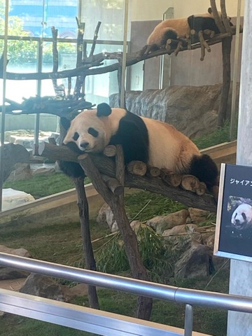 施設写真342