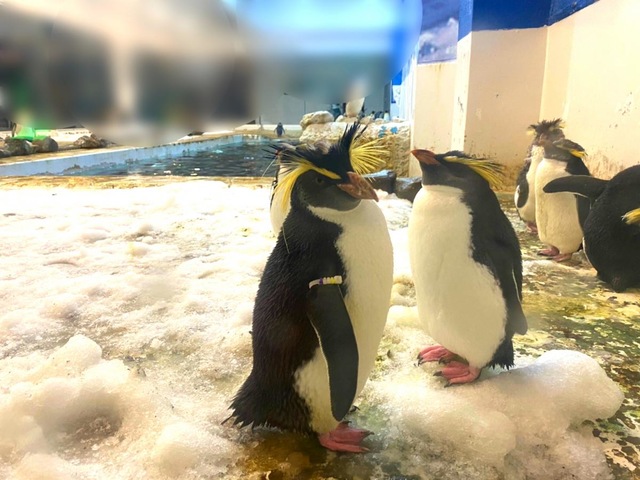 施設写真301