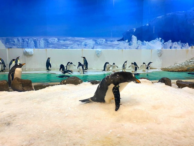 施設写真300