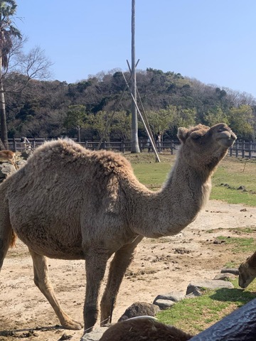 施設写真309
