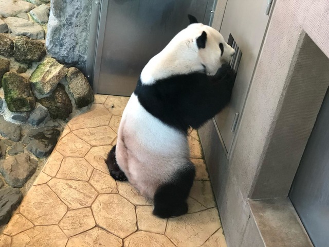 施設写真381
