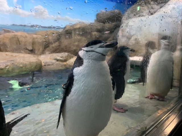 施設写真334